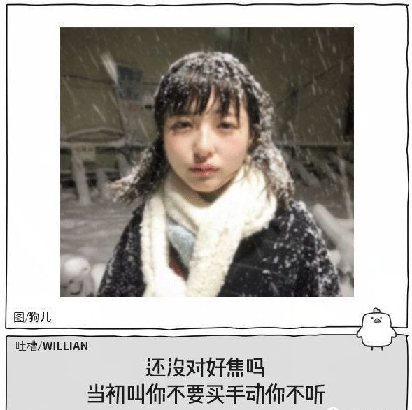 自学摄影胶片,自学照相机教程