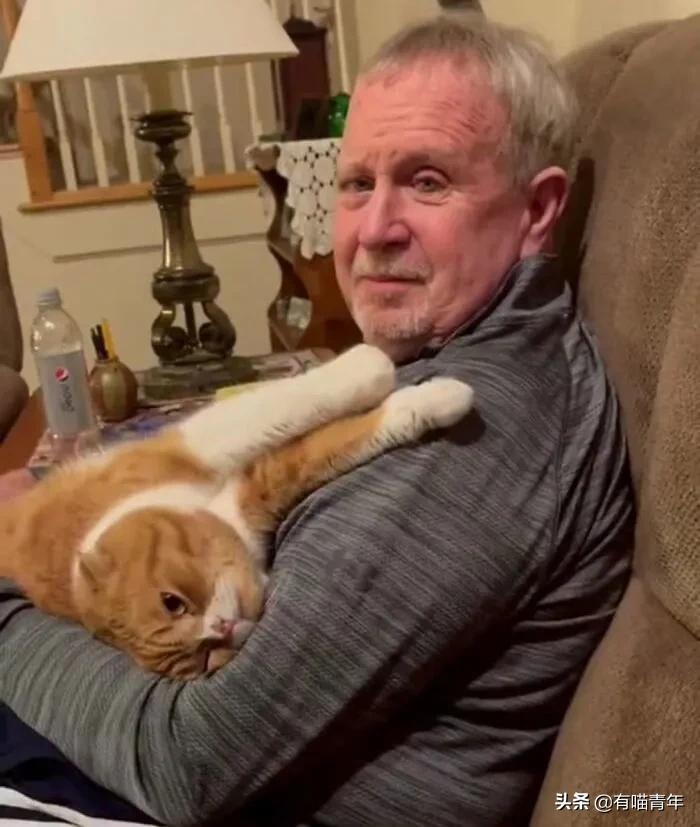 养猫也能治疗癌症?是真的