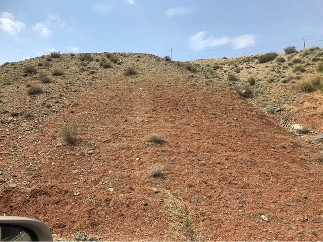 五一去吉木萨尔,八个月了第一次出游