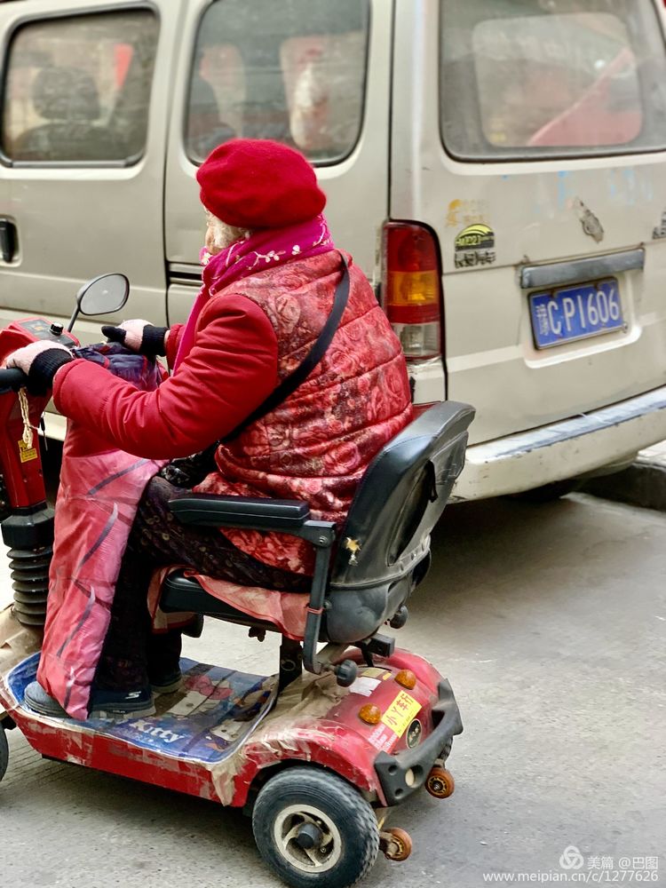 涧西牡丹广场老照片,洛阳牡丹手机拍照