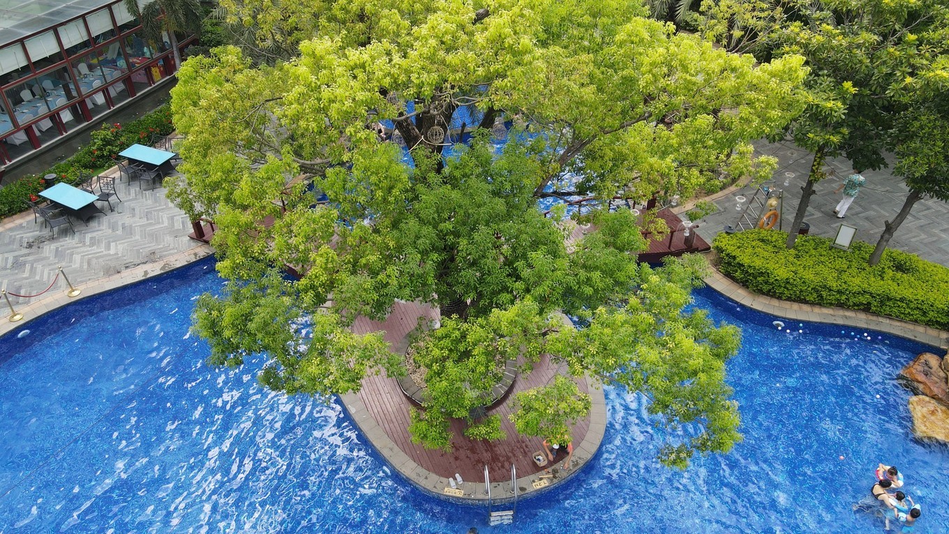 这里被称为广深后花园，每年夏天游人如织，有山有水的避暑胜地
