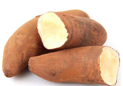 10种果子图片大全,100种果子介绍