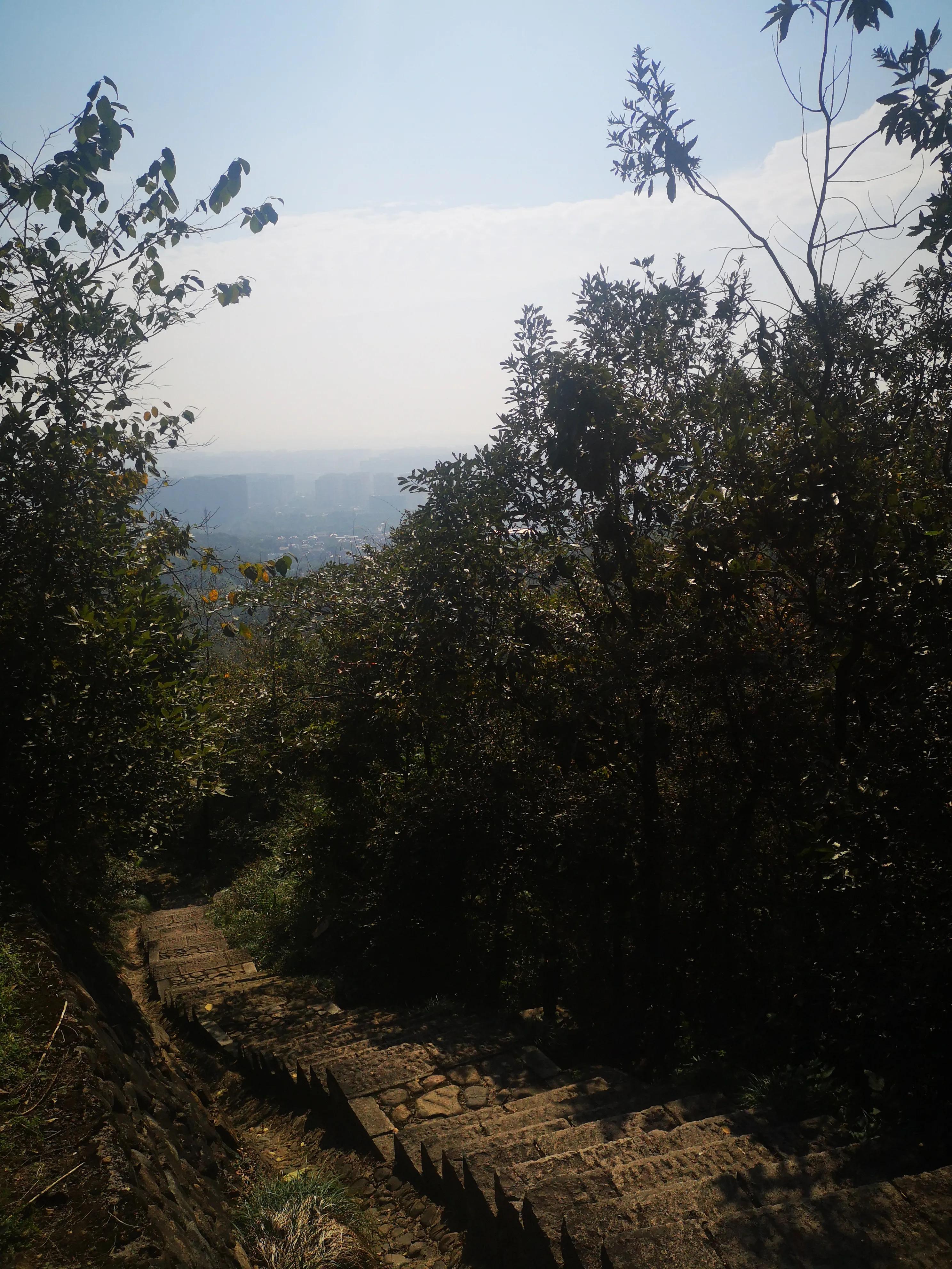 皋亭山爬山活动,皋亭山爬山入口在哪里