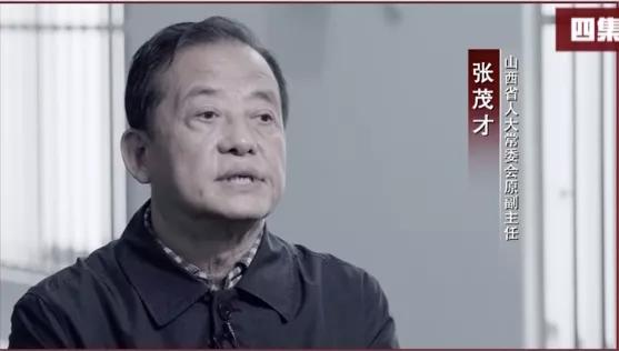 老虎后续采访视频,老虎随后一幕曝光让人揪心