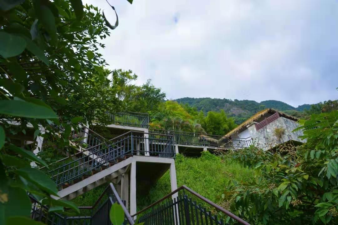 增城别墅温泉度假推荐,增城温泉度假村别墅排名榜