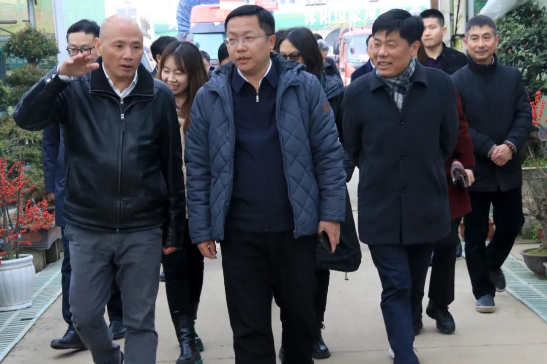 中国沭阳国际花木城在哪个城市,沭阳花木城的发展