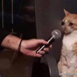 外汇交易爆仓怎么处理,外汇交易爆仓是什么原因引起的