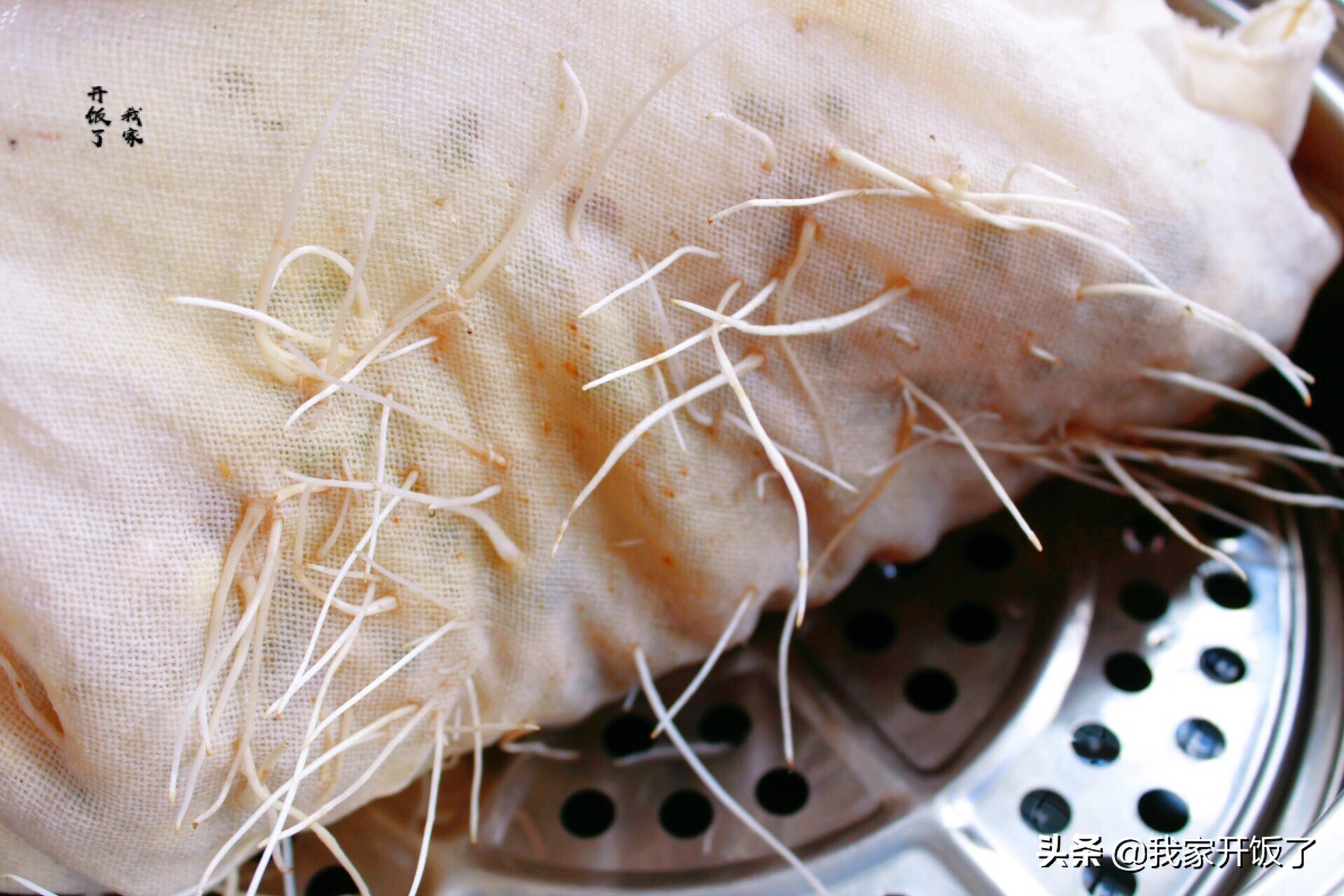 宅在家里学技能，教你发豆芽，掌握3个要点，零失败，随吃随种