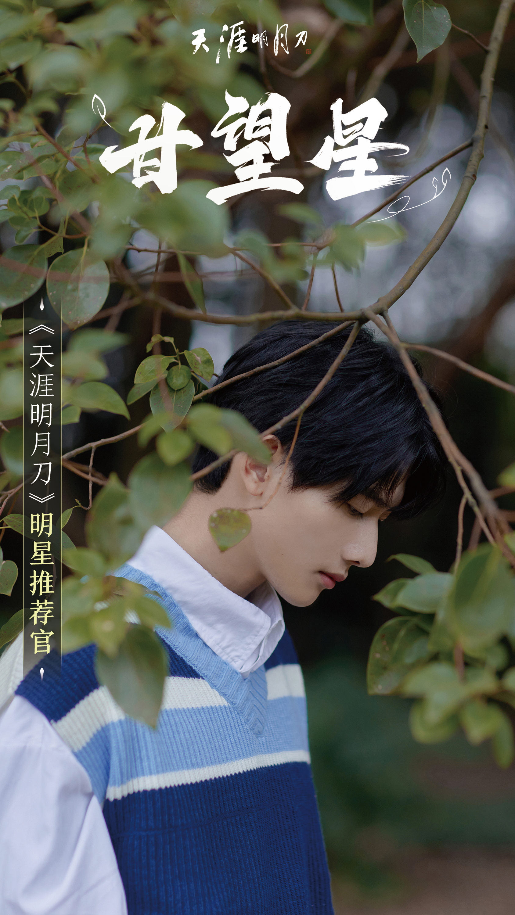 端午节免费送粽子活动通知,端午送节礼