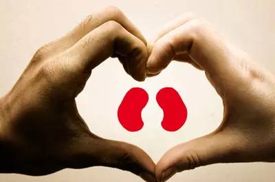 世界肾脏日专家义诊,世界肾脏日警惕