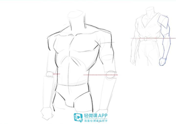 漫画人体结构怎么画,人体面部肌肉结构怎么画