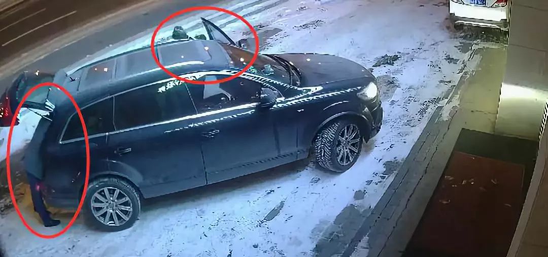 男子开奥迪偷东西,男子开奥迪却在凌晨偷盆栽