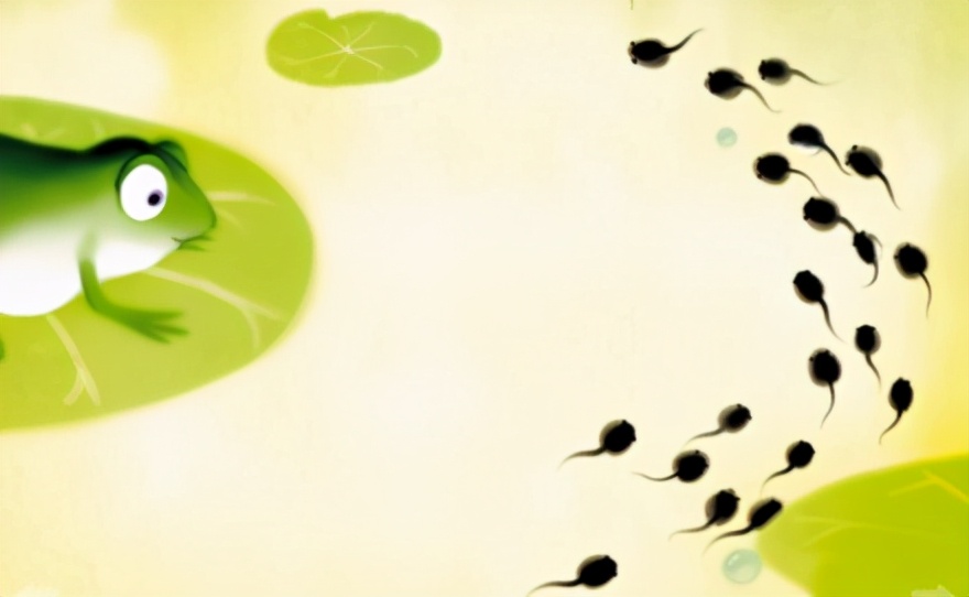 5亿人口的迁徙，从男性到女性体内，小蝌蚪到底都经历了什么？