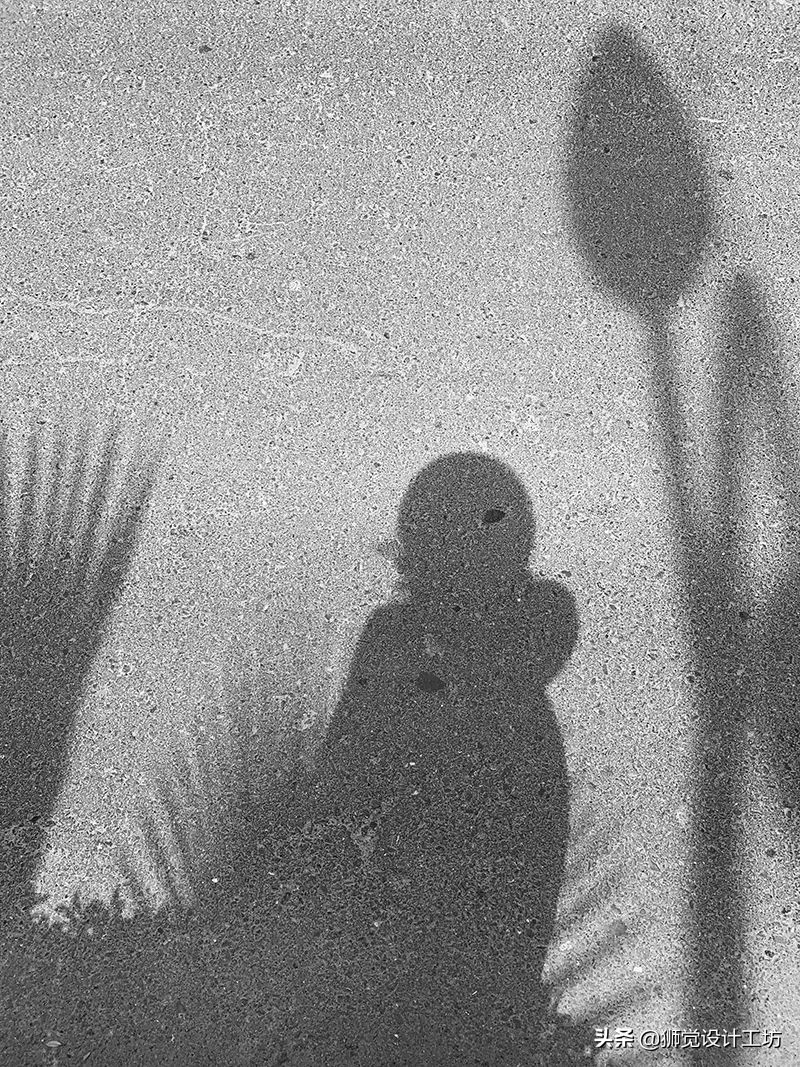 高手出品,纯干货看完这篇别再说你不懂配色