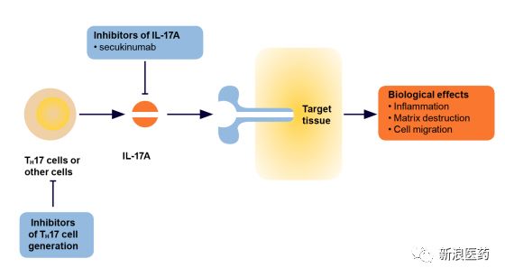 诺华苏金单抗上市公司,诺华新药