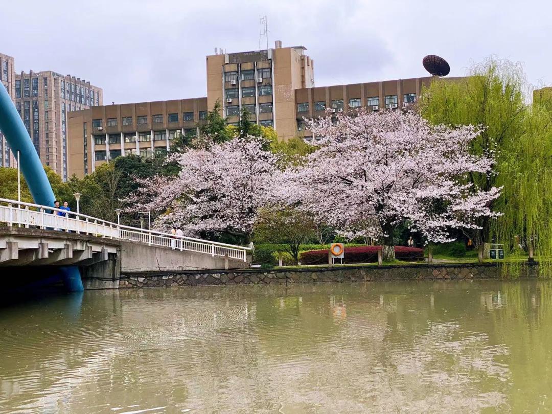 美爆了的画质,美爆了完整视频