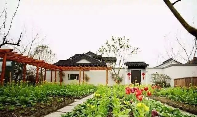 成都多利农庄：如何解决土地、资金、产业、三农问题