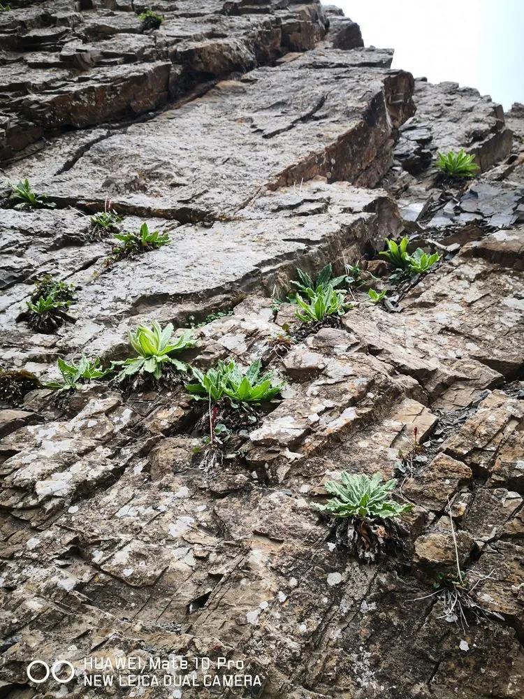 传说中的天狼之路，是否值得一走？