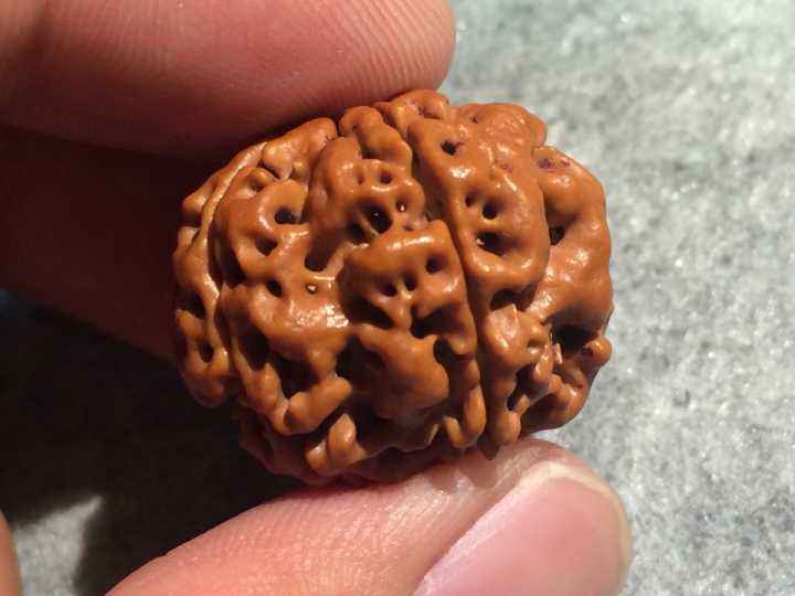 金刚菩提最全纹路解析,大金刚菩提纹路种类图解