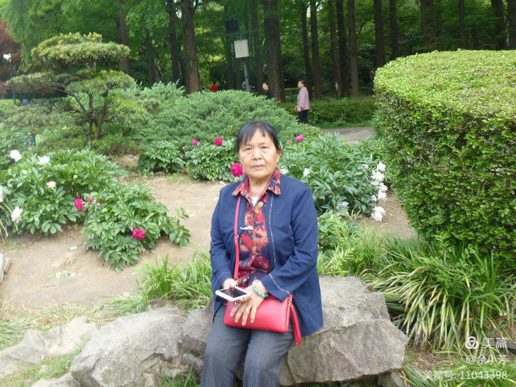 上海中山公园公寓,上海中山公园游玩攻略