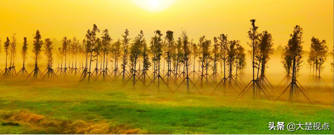 醉美江城武汉,武汉醉美江滩