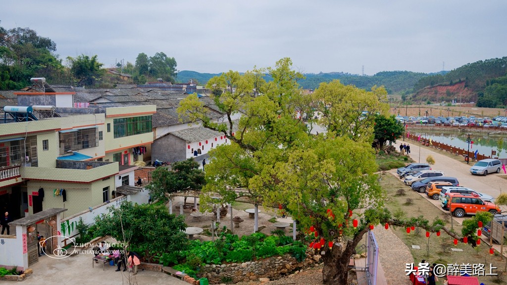 暖暖广东｜马市小吃文化节，红梨缤放新活力