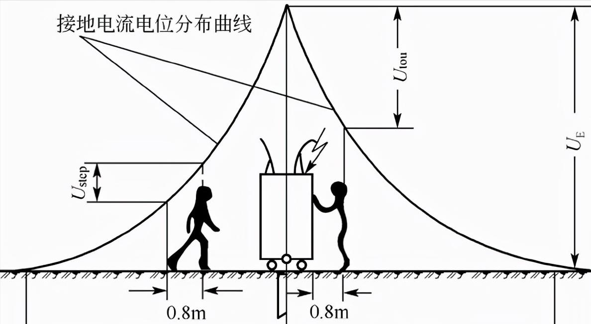 550只羊被雷劈死后续,550只羊被雷劈死原因