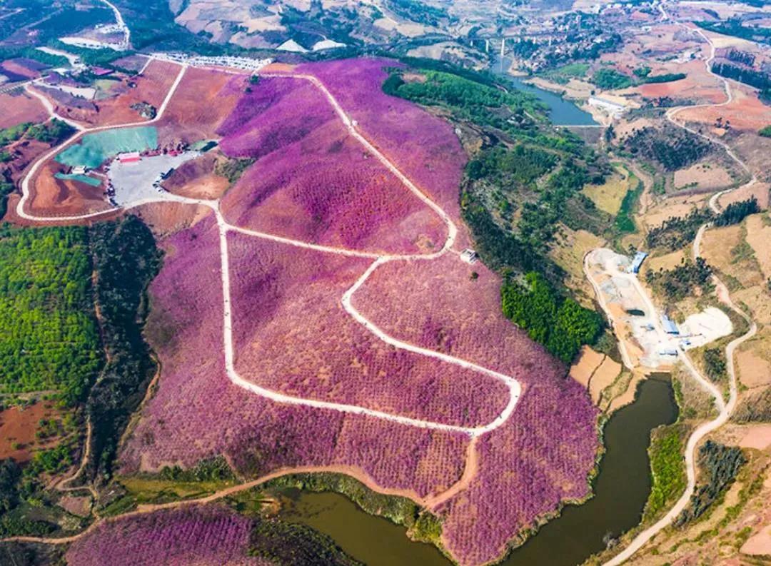 今天宜良景点哪里好玩,宜良好玩的夜景