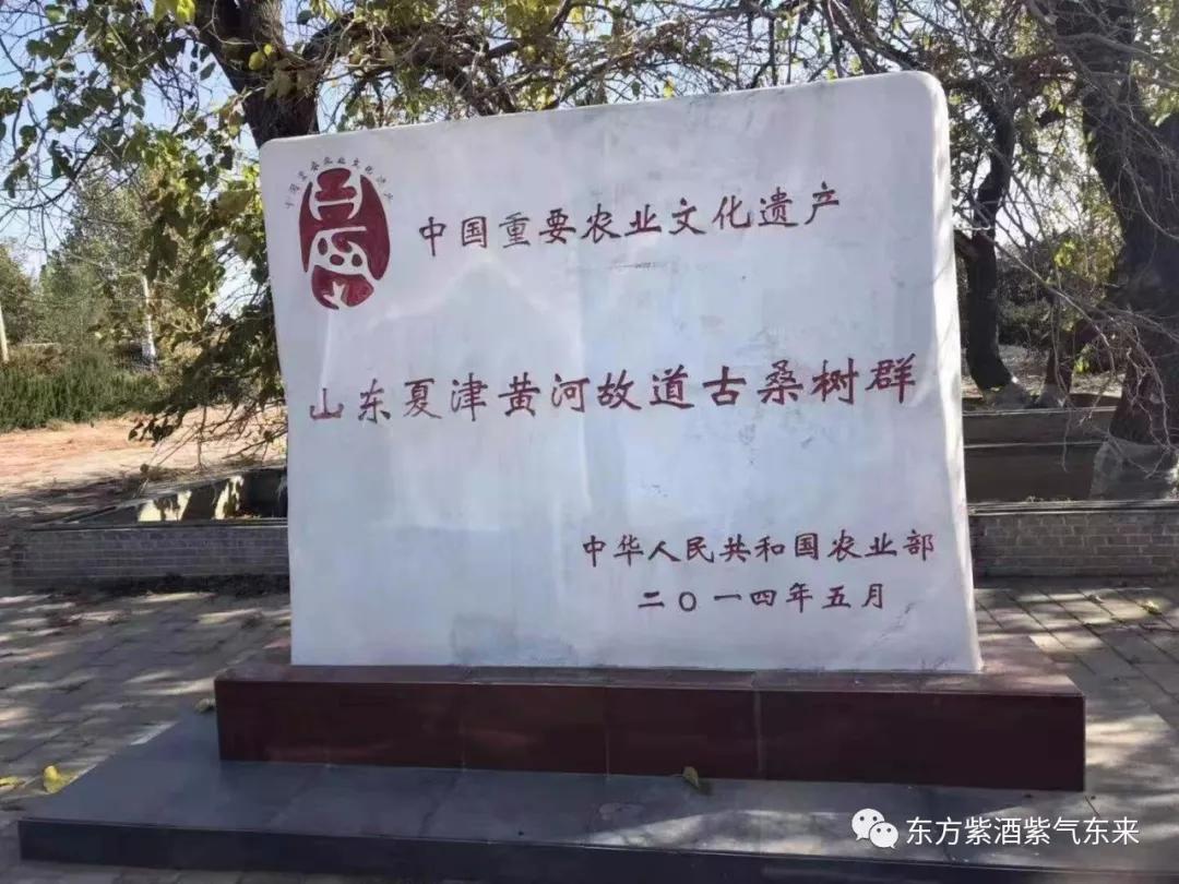 传承桑氏家族文化,传承传统文化彰显蚕桑魅力美篇