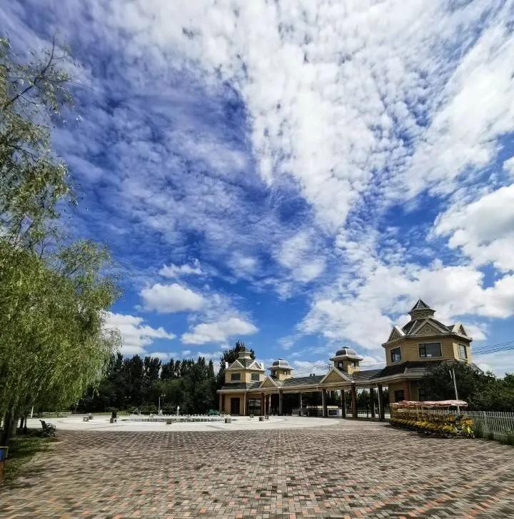 甘露花海最美打卡地点,花海风光打卡地