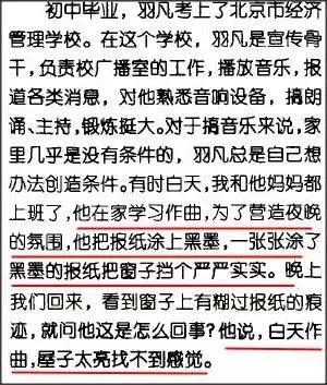羽泉目前状况,羽泉的真正实力