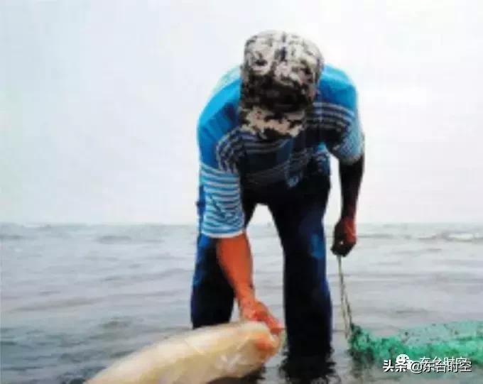 东台海景最美的地方,东台看海最好的地方