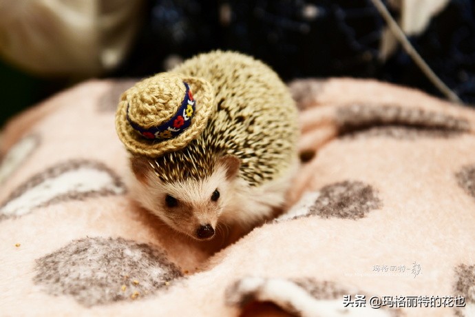 大阪街头随拍\暑假日本游