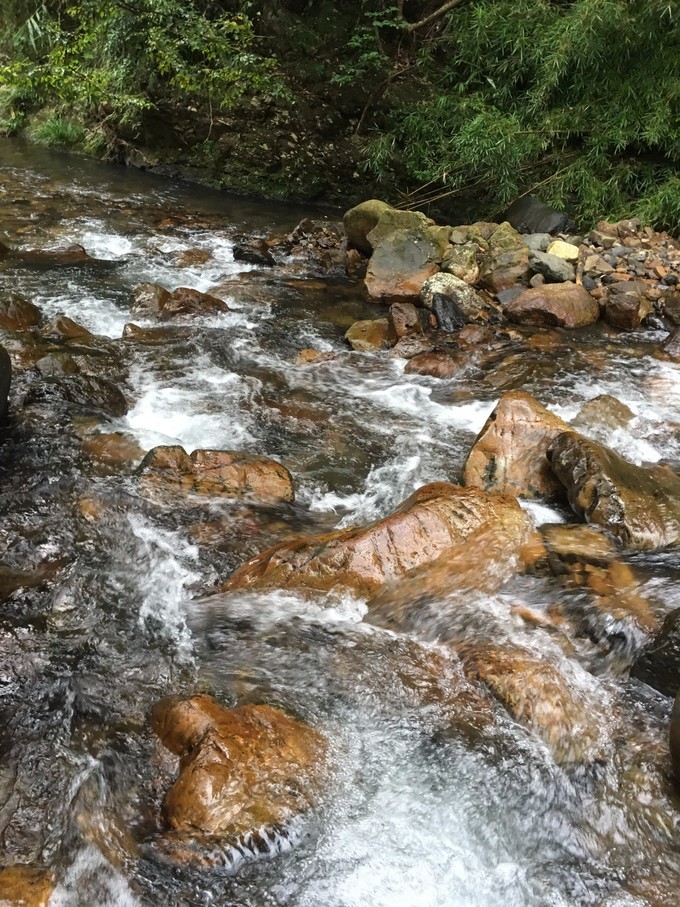 从化溪头自驾游视频,从化溪头村一日游路线