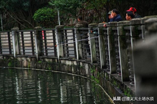 在冬天里看遵义湘江河上的秋色
