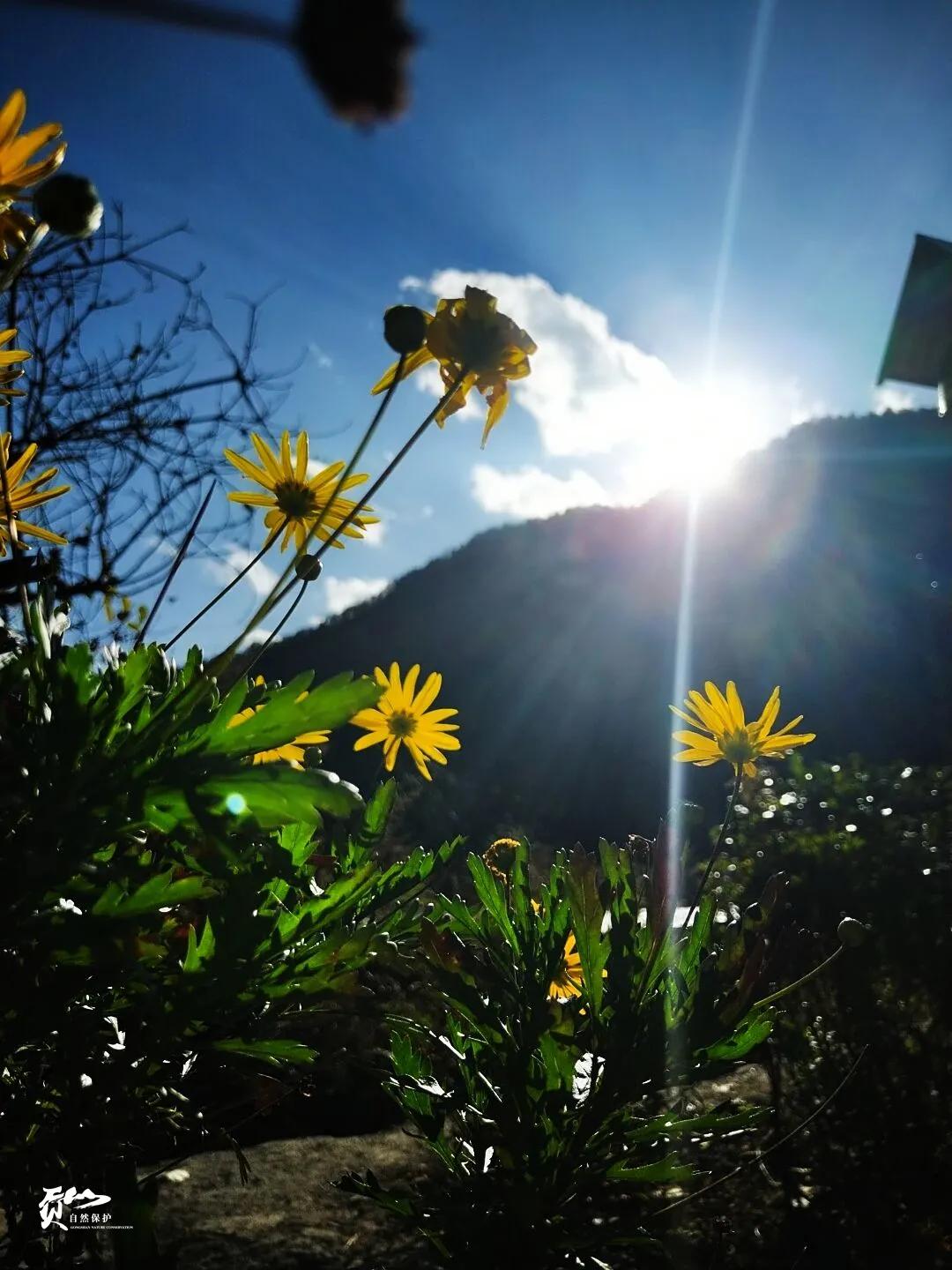 遇见怒江丨这是“我”手机镜头里的贡山风光