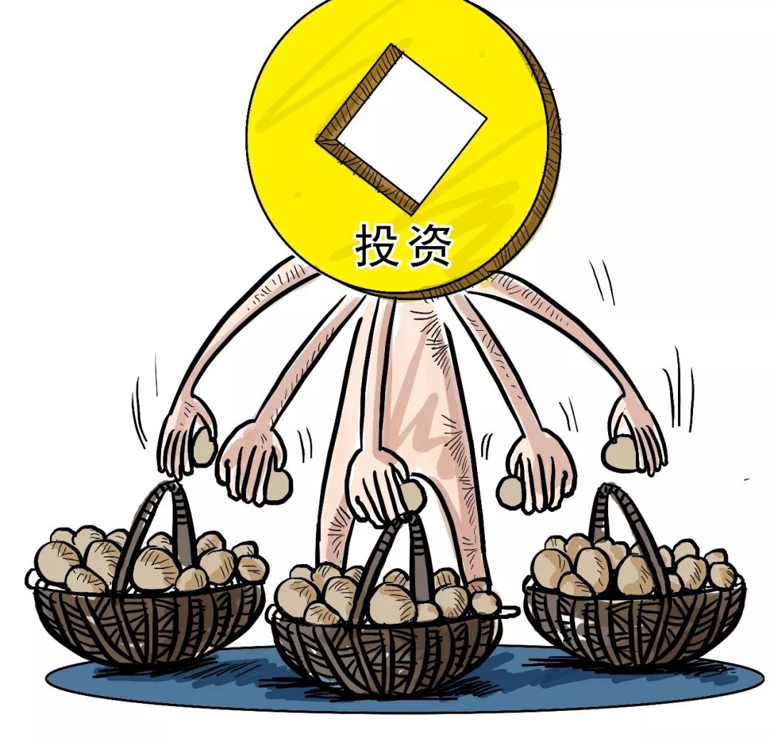 订单式养殖都有哪些好项目和方法,利润很吓人的10个冷门养殖项目