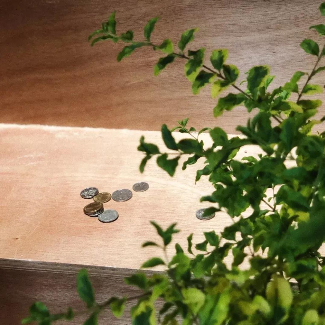 prada跟nike联名海报,pradanike合作款