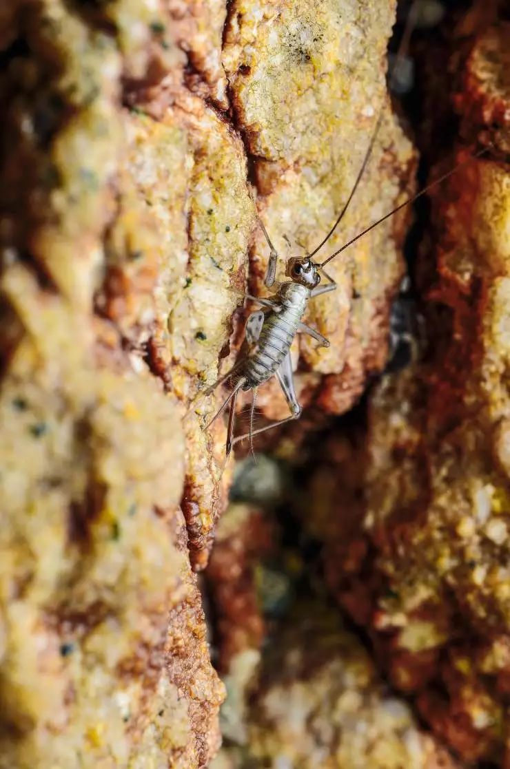 不知道给孩子订哪些杂志,看这篇