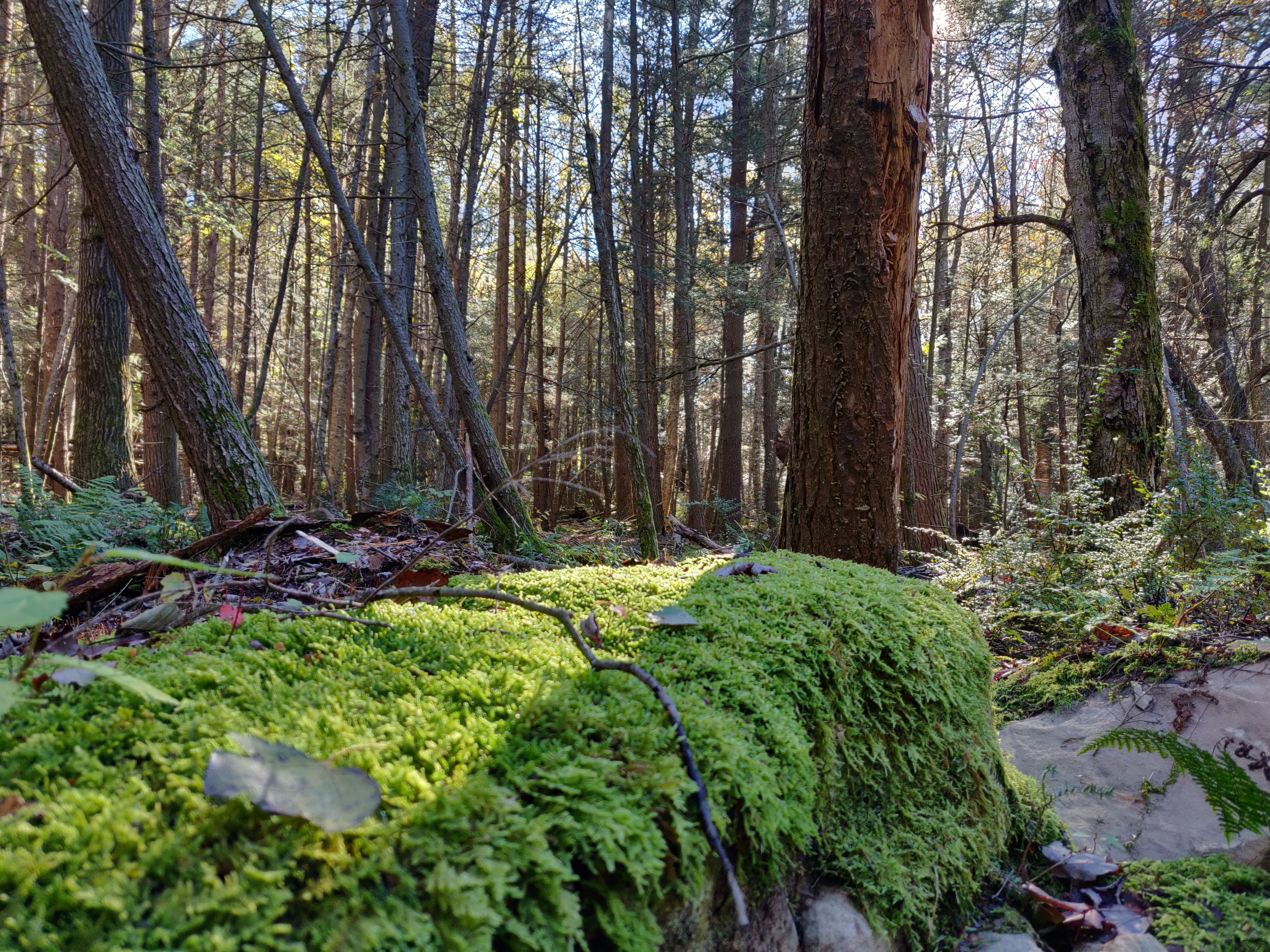 一加6t深度测评优缺点,一加6t旗舰版评测