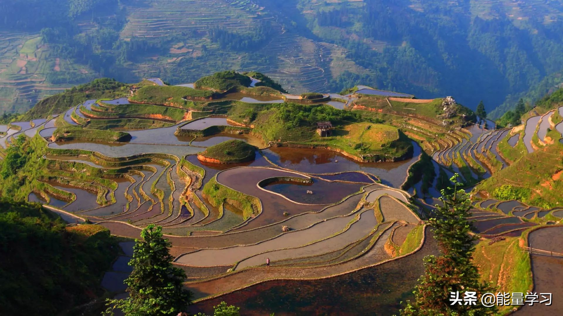 高考语文作文范文热点,历年高考语文作文题目及分析范文