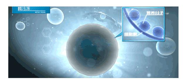 下厨的心,受到挑战?这些格力品质家电,让你爱上厨房