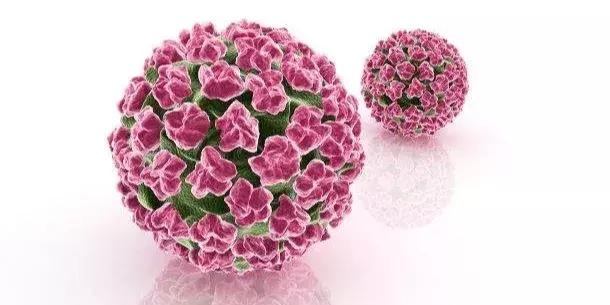 香港代购hpv疫苗靠谱吗,代购hpv疫苗合法吗