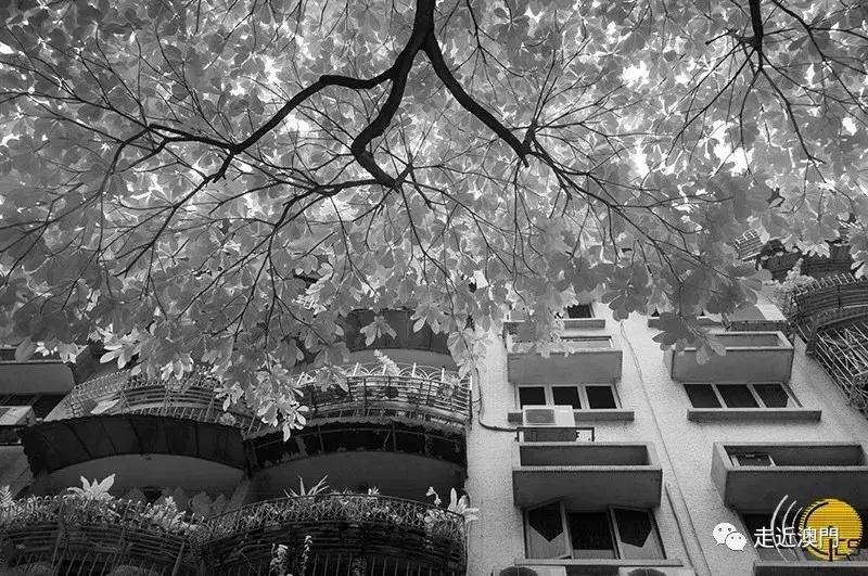 镜头里的澳门这里很小但真的很美,澳门的城市一角别具一格