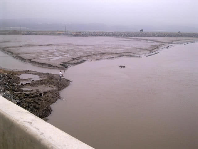 连云港海边垂钓沙光鱼“沙光一年一尺长，三年赶上老龙王”
