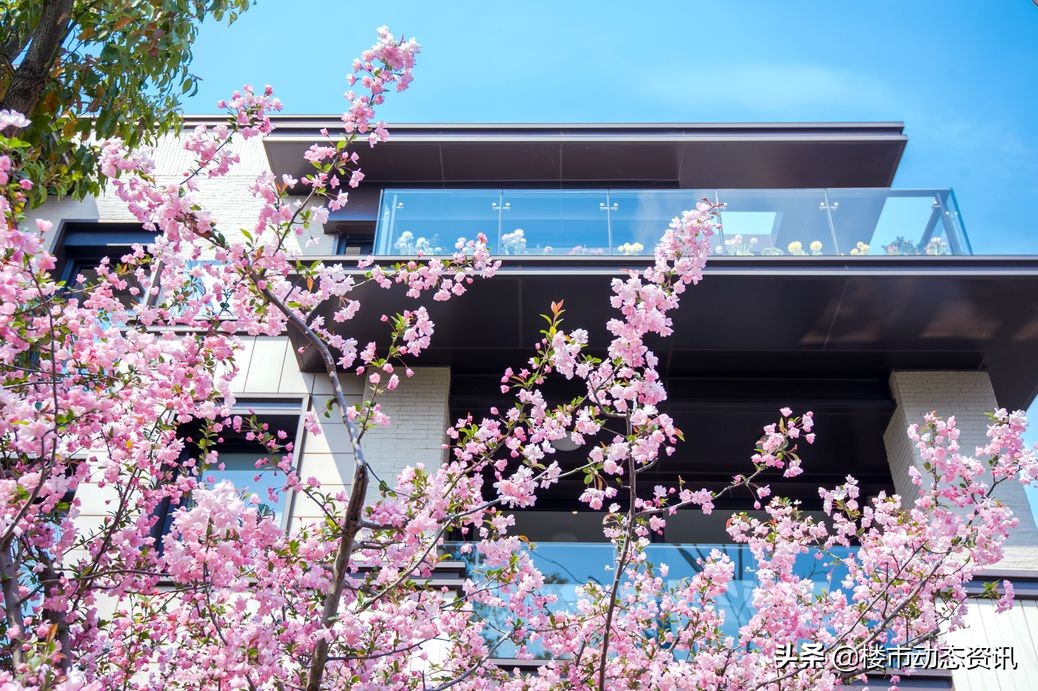 崇明三湘森林海尚联排户型,崇明三湘森林