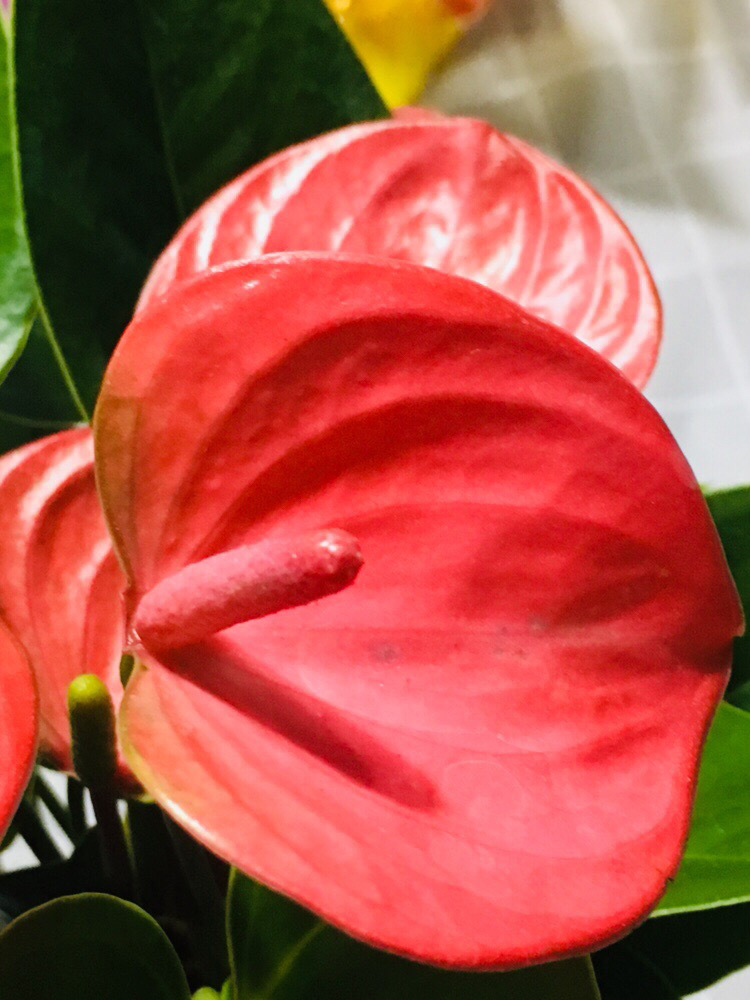 粉掌冻了怎么补救,粉掌冻了怎么办