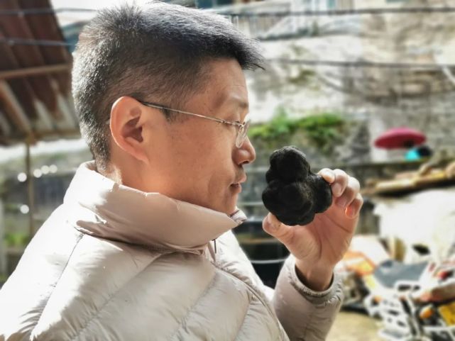 白松黑露，在丽江「上演旷世传奇」