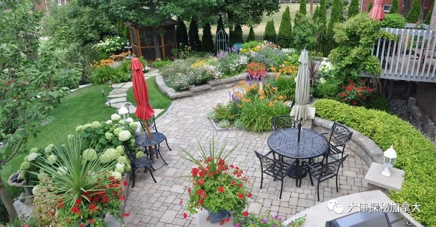 加拿大的价值观,加拿大的价值观是什么