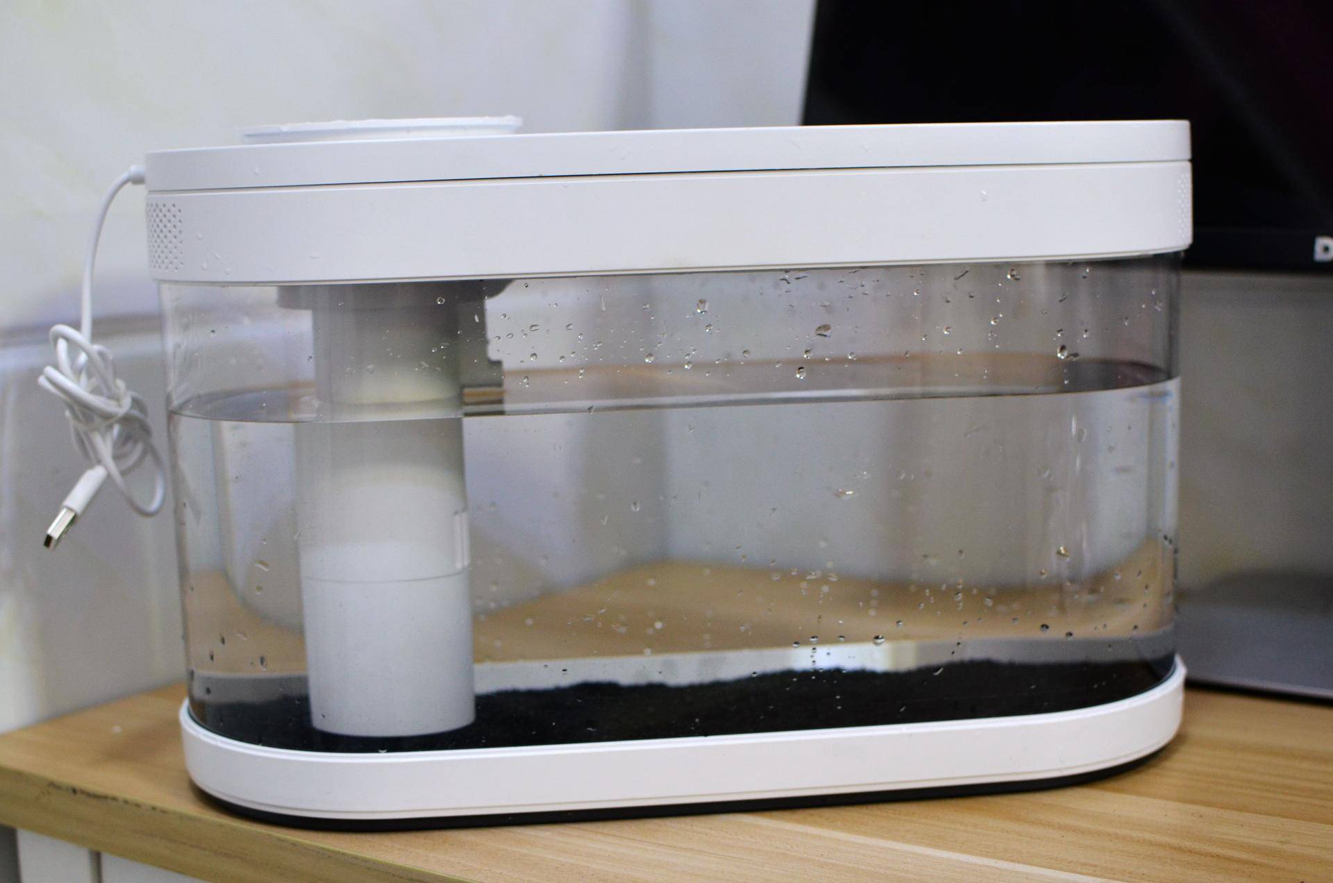 懒人鱼缸养鱼,懒人能养鱼吗